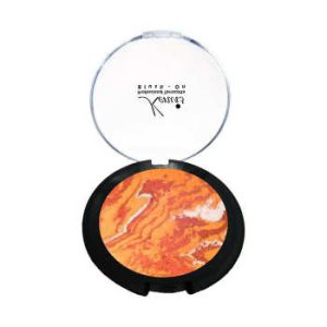 رژگونه تراکوتا باریش مدل Silky touch شماره 204